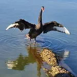 Aer Alojamento de Acomodação e Pequeno-almoço 3*