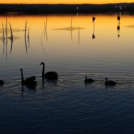 L'isola Aer 3* ليزينا
