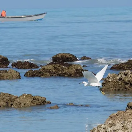L'isola Aer 3* ليزينا