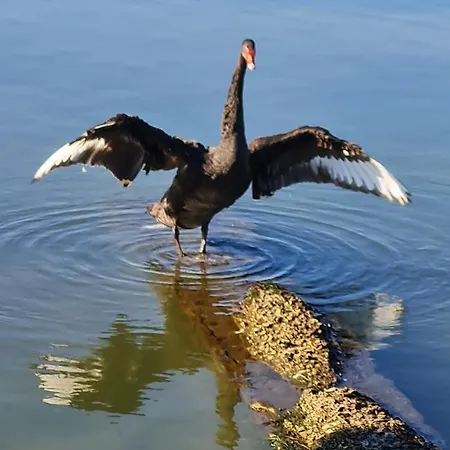 L'isola Aer فندق مبيت وإفطار 3*