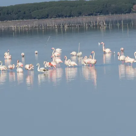 ベッド・アンド・ブレックファスト L'isola Aer