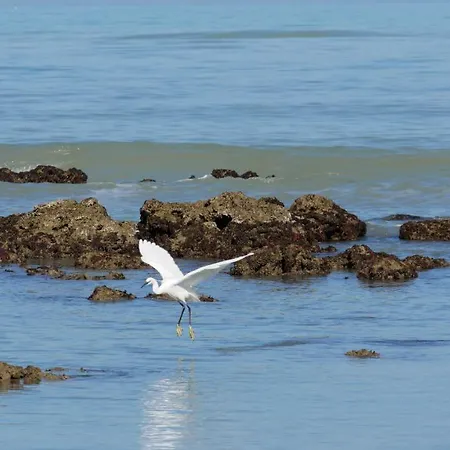 L'isola Aer Bed and Breakfast 3*